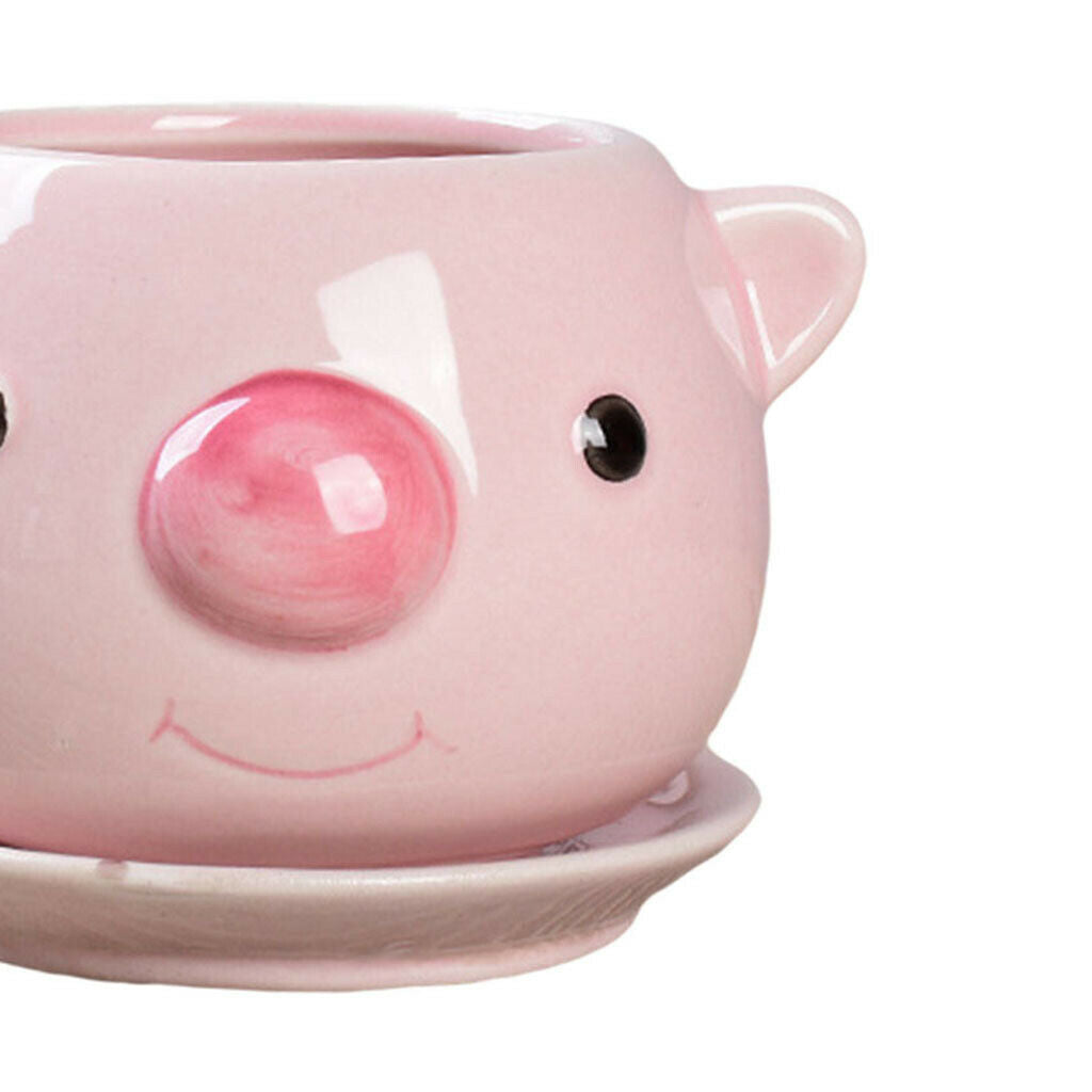Cartoon Cute Succulent Pots Flower Pot Cactus Bonsai Plants Planter Home Pig