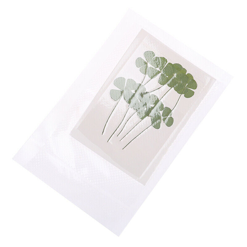 Four Leaves Dried flowers Card Making Scrapbooking Jewelry Furniture Deco.l8