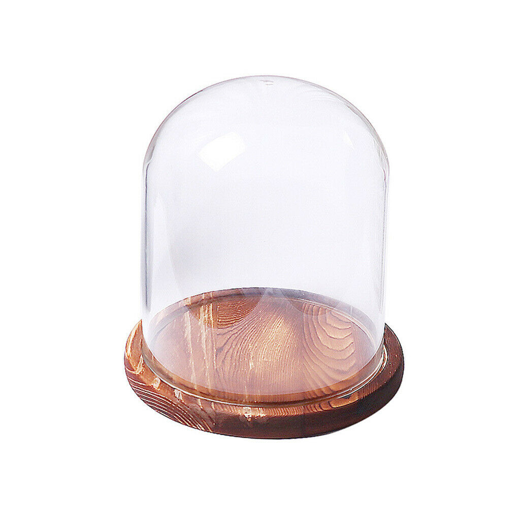 18cm  Transparent Stand Glass Flower Vase Landscape Bottle Ball Vase