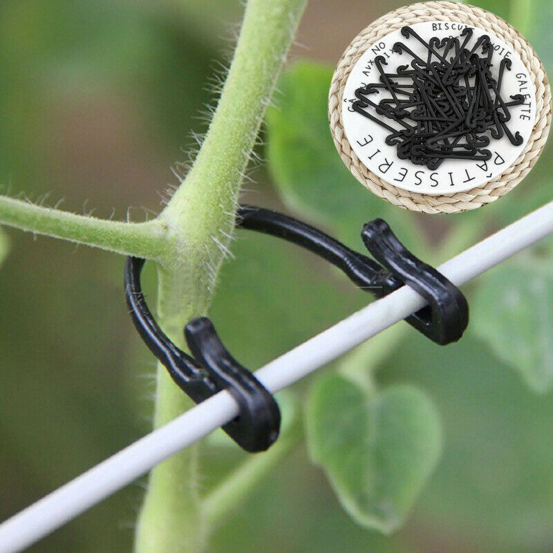 100pcs Plastic Plant Tomato Support Clip Hook Grapes Connects Vines Fastener SJ