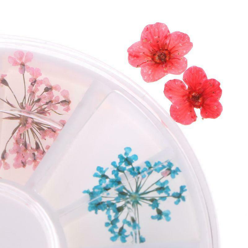 Real Nail Dried Flowers Nail Art Decoration DIY Tips Case Small Flowers Nails