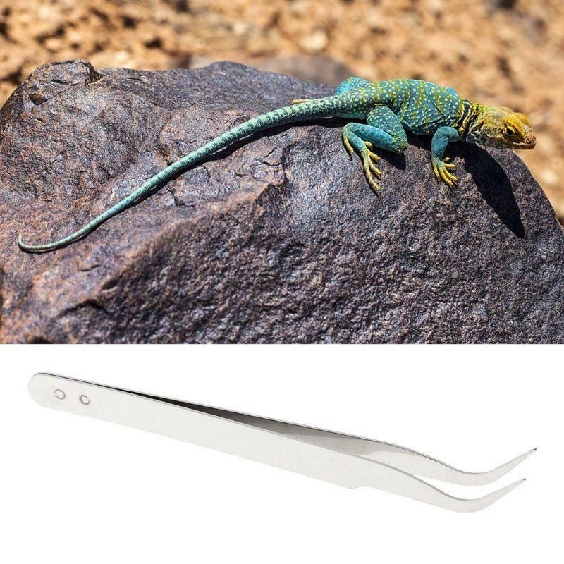 Stainless Steel Clip Cleaning Tweezers Pet Ear Grooming Reptile Feeding Supplies