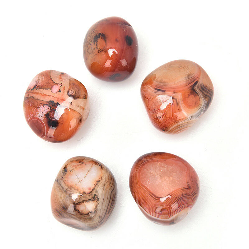 5Pcs Natural Banded Agate Madagascar,Xlarge Tumbled Beautiful Patterns   ZB Tt