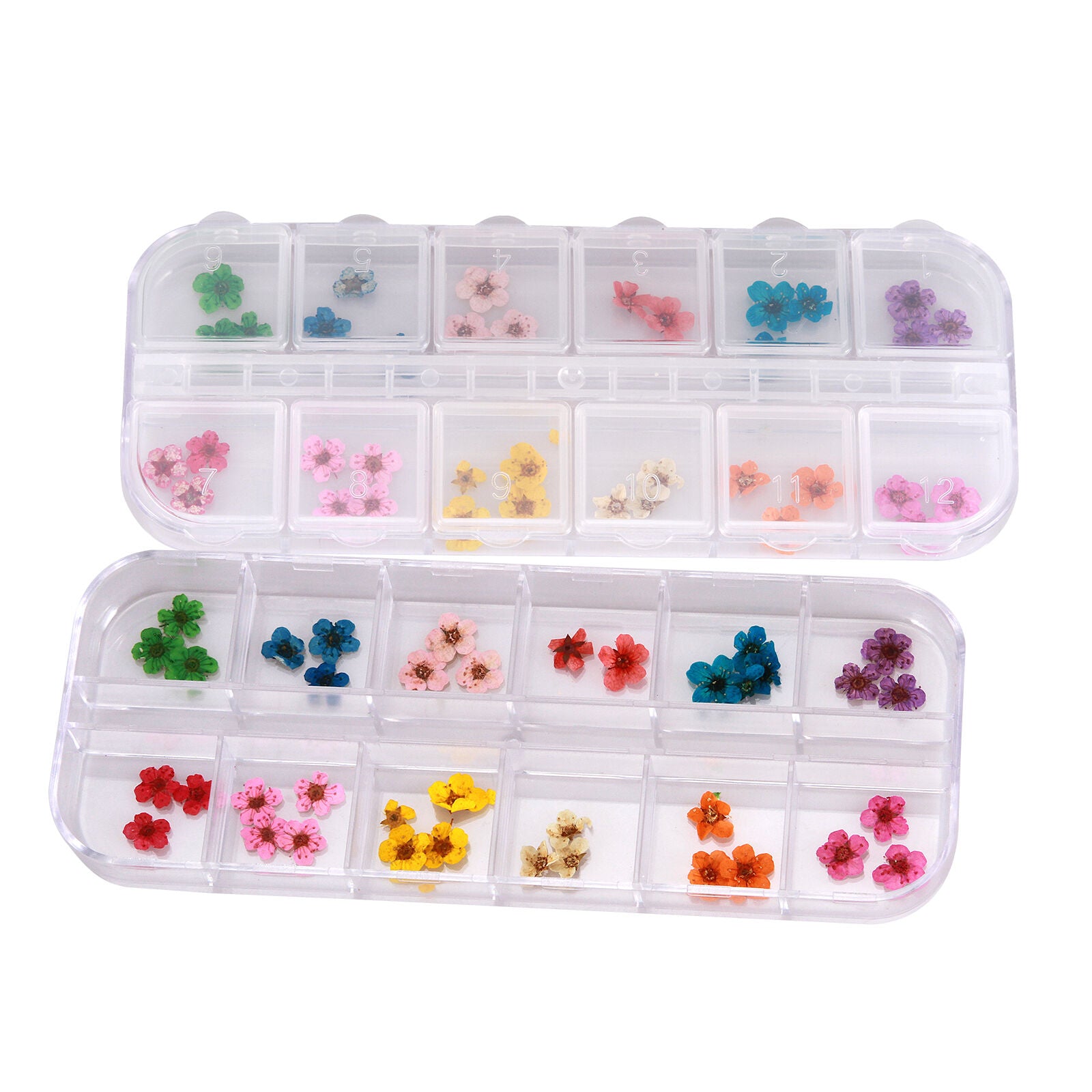 12 Colors Nail Art Decor Real Dry Dried Flower Set For DIY Nail Tips With Box