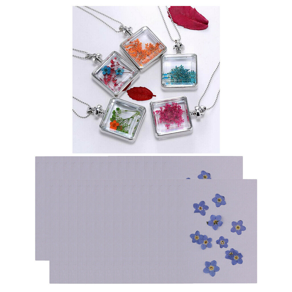 30 Bag Handmade Pressed Real Dried Flowers DIY Craft Floral Cards Multicolor