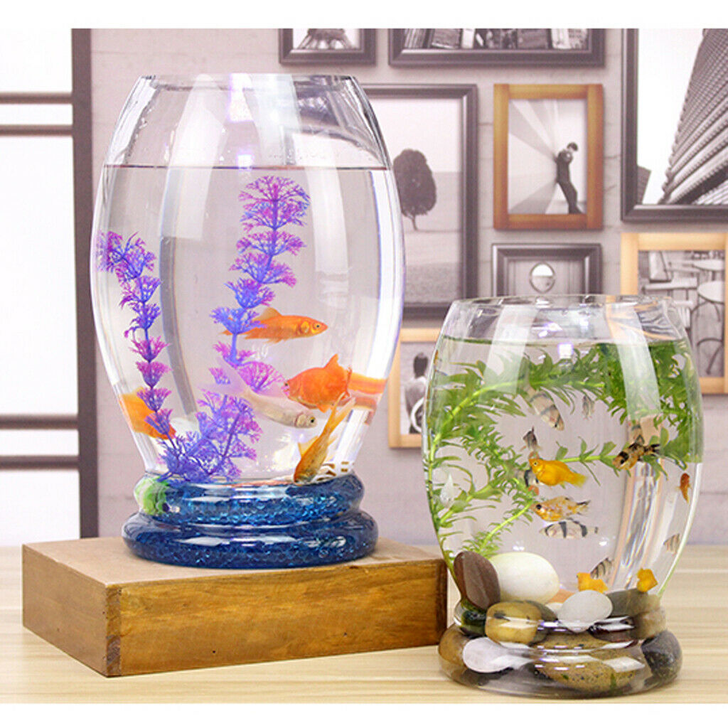 Transparent Glass Aquaponic Tank Aquarium Bowl Desktop Decoration 2