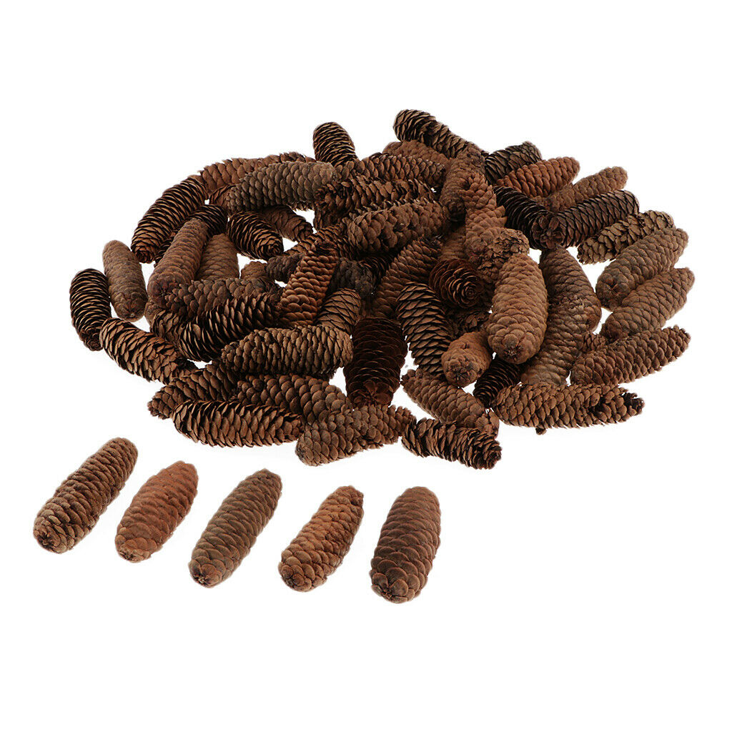 1KG Pine Cone Pineal Nuts Party Decoration Adornment Vase Bowl Fillers 1-6cm