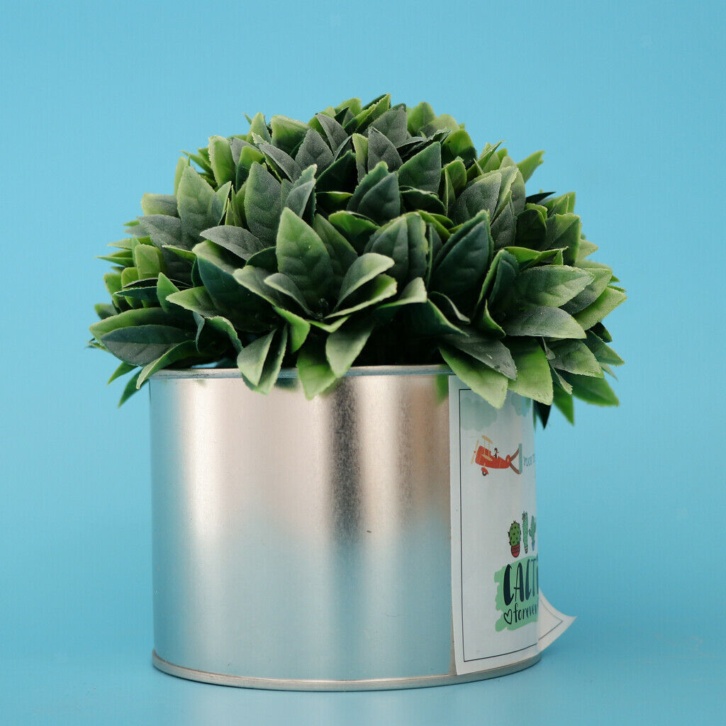 Metal Succulent Cactus Flower Pot Vase Flower Pitcher for Home Decoration S
