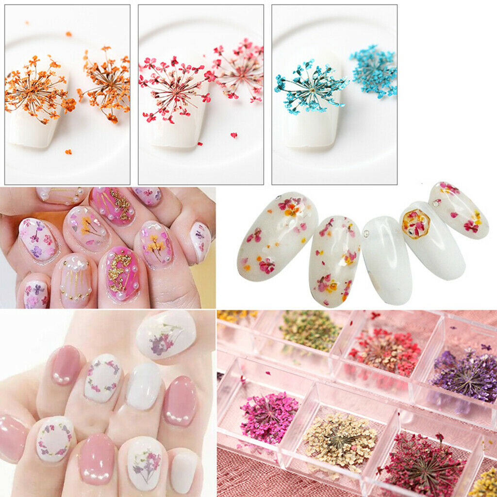 Multiple Natural Real Pressed Dried Flowers Leaves Assorted for Card making