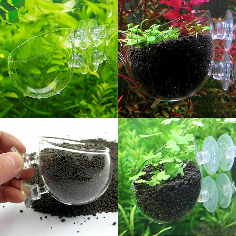 Transparent Aquatic Plants Pot Holder Plants Holder For Fish Planted Tanks