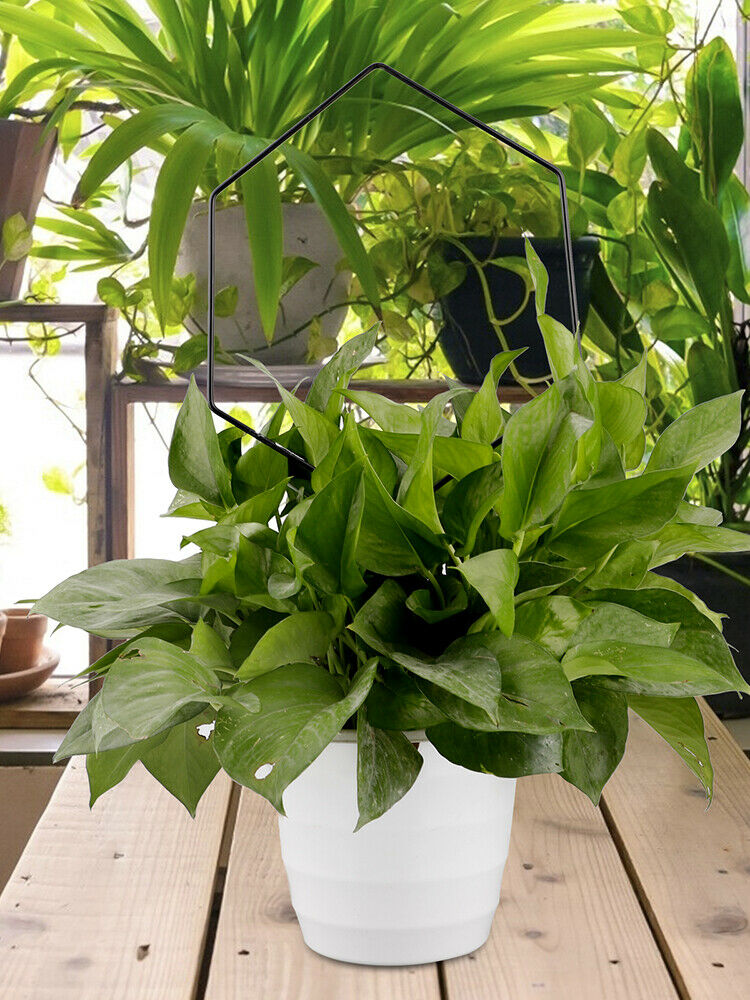Climbing Flower Iron Bird Potted Plant Stand Black Durable Support Frame Decor