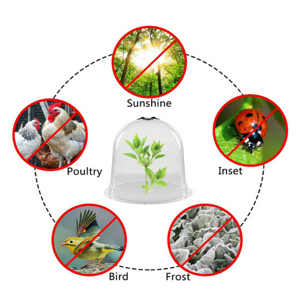 Reusable plastic Mini Greenhouse Set Garden Cloche Dome freeze Protection Cover