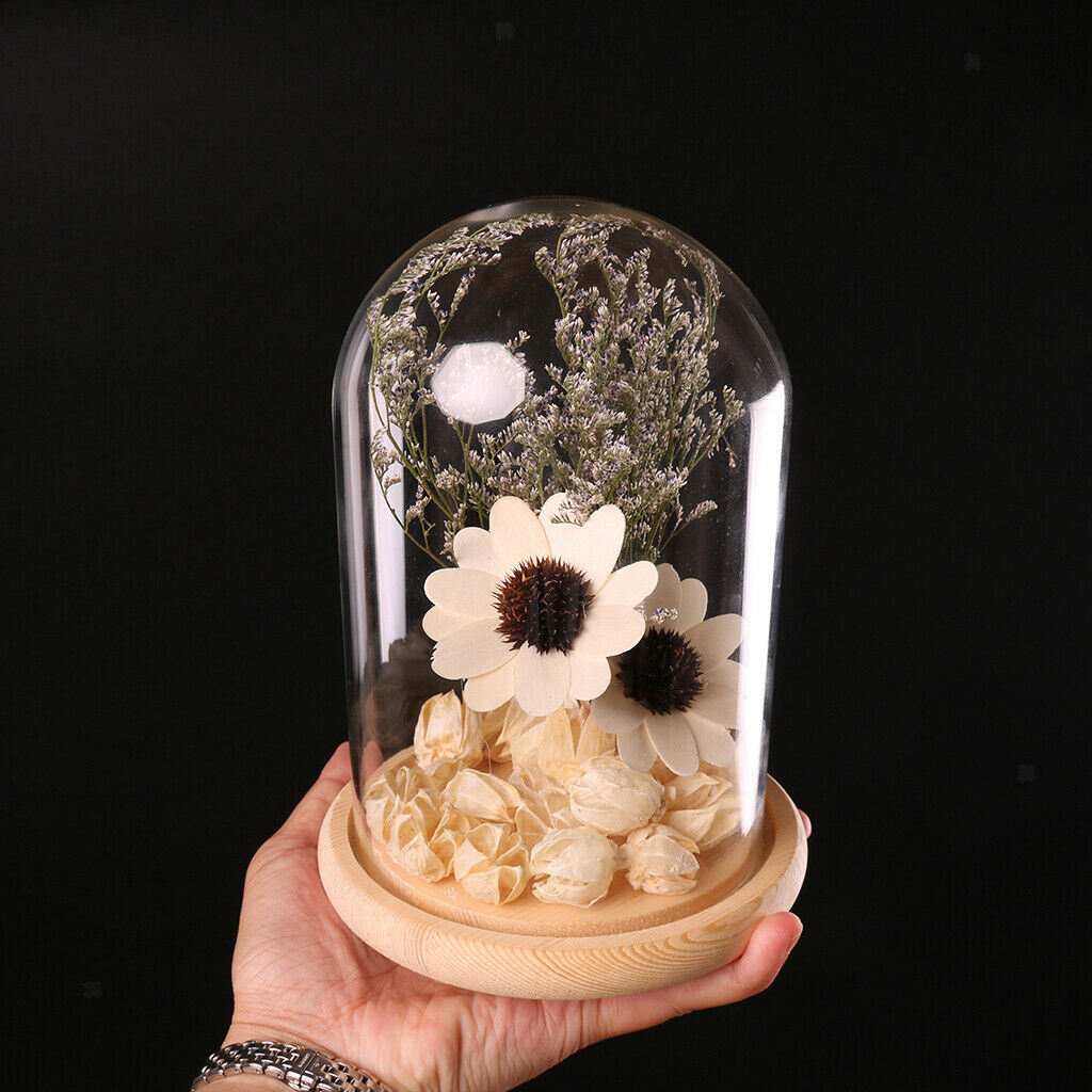 Glass Cover Landscape Vase Pot Terrarium Plant Flowers Decoration #4 12x18