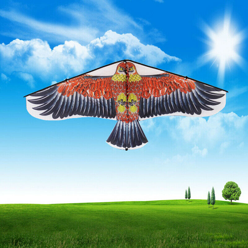 1Pc 1M Flat Eagle Kite With 50M Kite Line Children Flying Bird Kites Outdoor  Lt