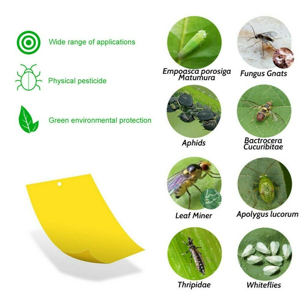 10Pcs Yellow Sticky Insect Killer Whitefly Thrip Fruit Fly Gnat Leafminer Traps