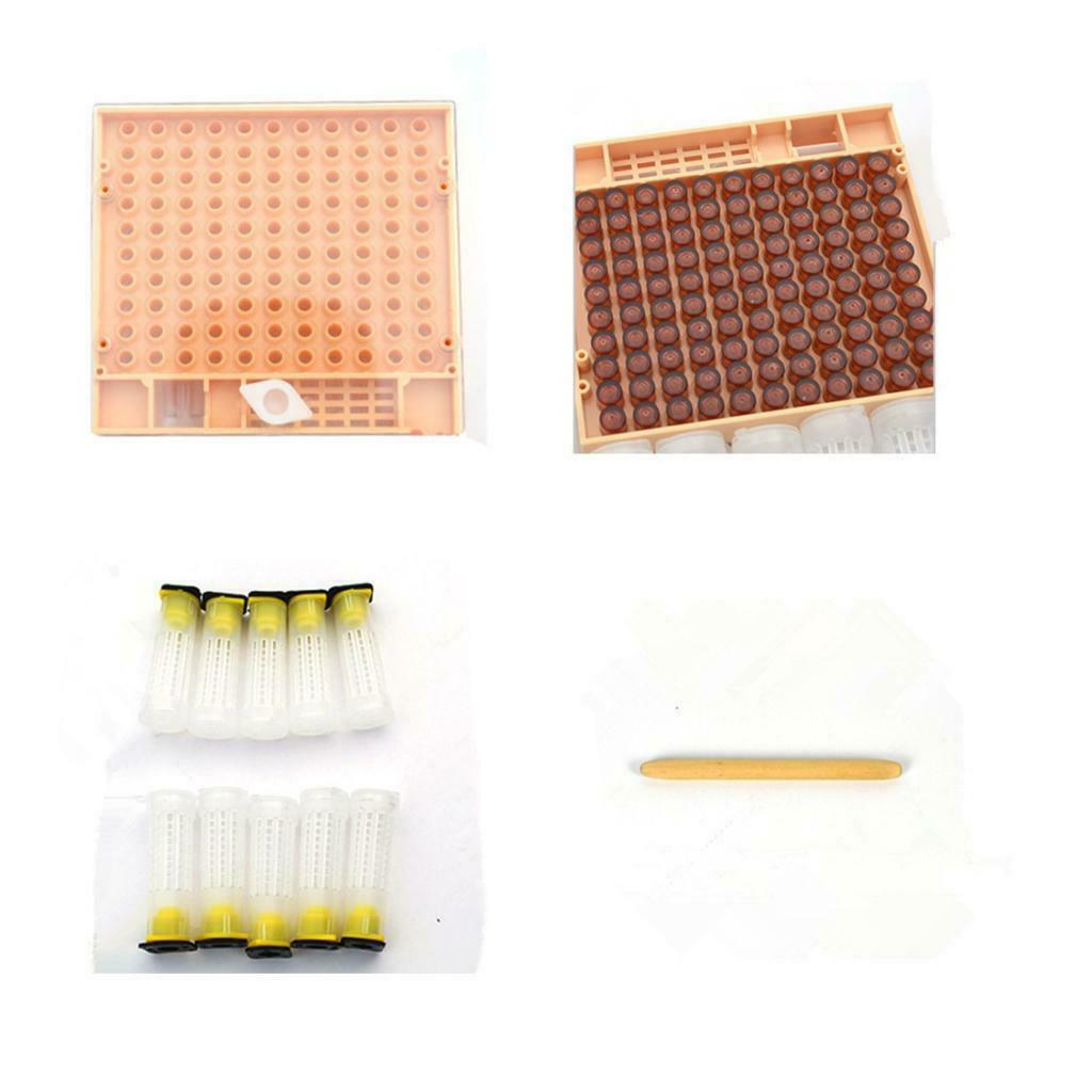Bee Tools Bee Rearing Cupkit Box 110Pcs Brown Cell Cups Apiculture Supplies