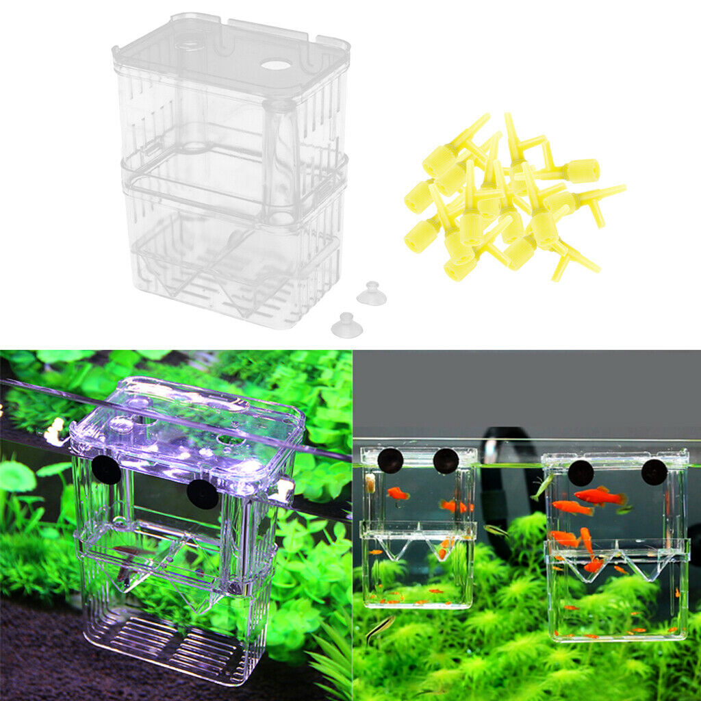 100Pcs Valves and A Clear Fish Hatchery Box Floating Aquarium Incubator with 2