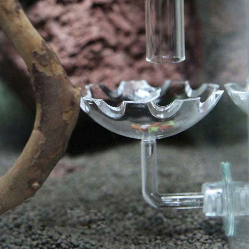 Shrimp Feeder Bowl Easy Fixed Clear Color Fish Feeding Dish with Durable Glass