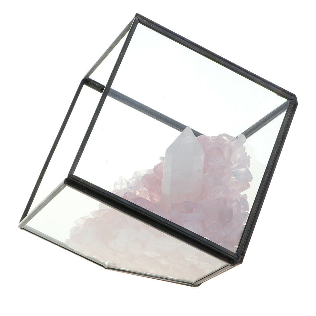 Natural Rock Mineral Collection Geology Earth Science Kit Ornament White