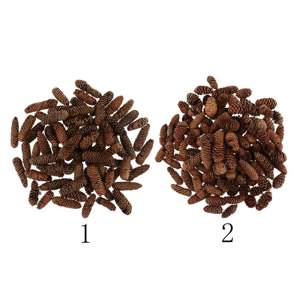 1KG Pine Cone Pineal Nuts Party Decoration Adornment Vase Bowl Fillers 1-6cm
