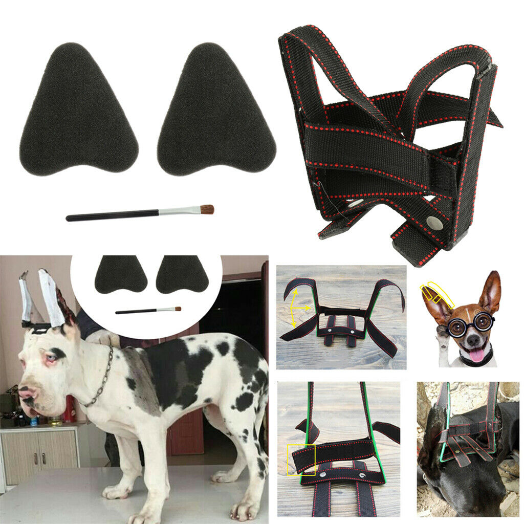 2pcs Pet Dog Ear Care Tools Ear Erect Standing Up Tools + Ear Stickers for