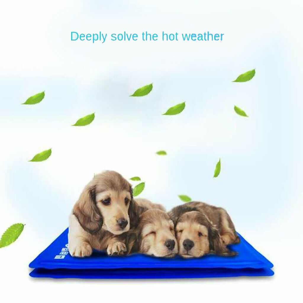 Pet Dog Cooling Mat Cool Pad Cooling Blanket Cushion for Beds Indoor 22x31cm