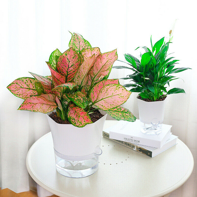 Garden Auto Irrigate Flower Pot Home Automatic Water Absorption Succulent.l8