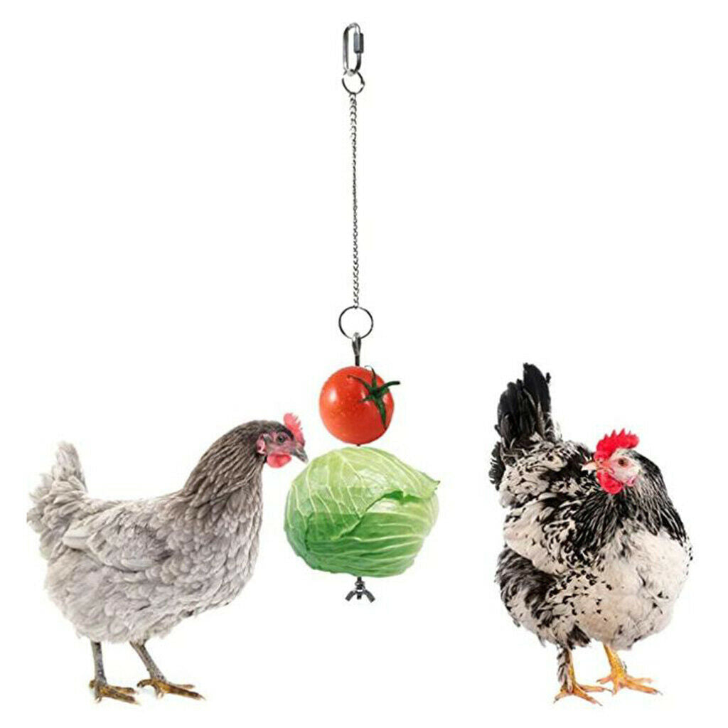 Bird Food Holder Hanging Toys for Birds Chicken Finches Cockatoo Cockatiel