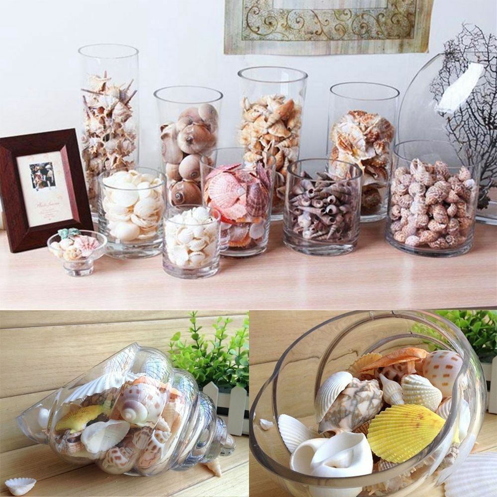 Approx 100g Aquarium Beach Nautical DIY Shells Mixed Bulk Sea Shell Fash;AUJ SJ