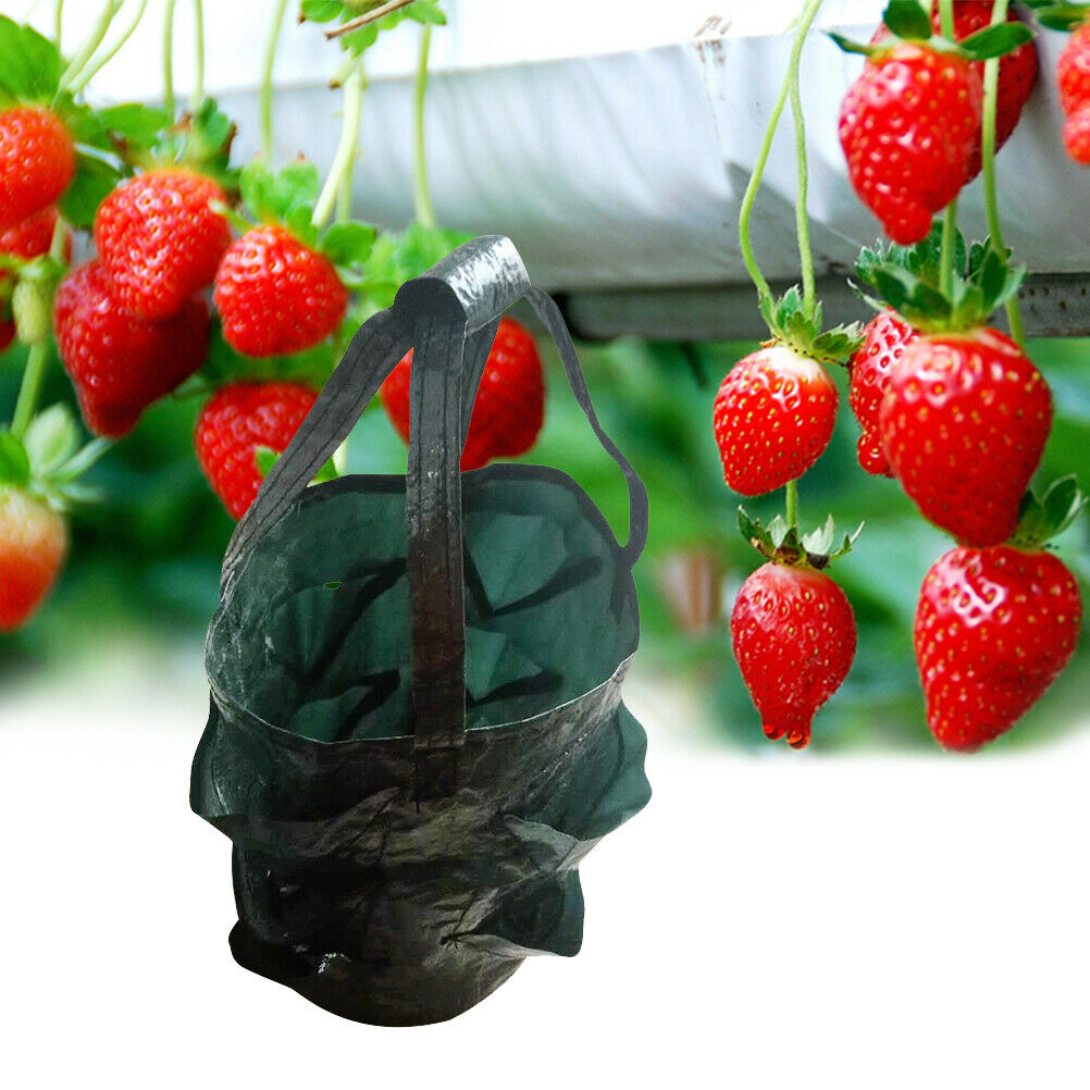 Garden Strawberry Vertical Planting Bag Plant Growing Pot Planter Pouch Reusable