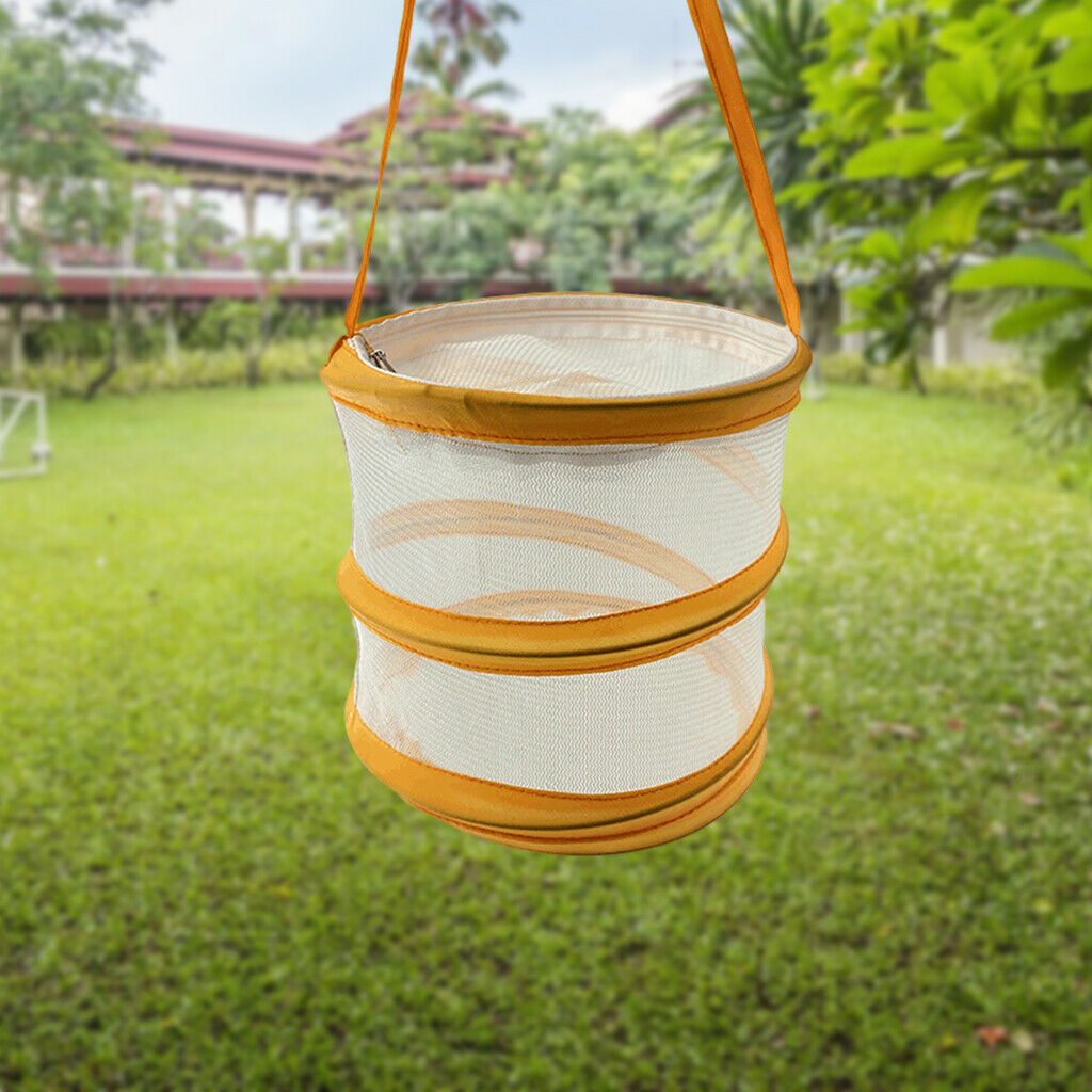 Insect and Butterfly Habitat Cage -up Educational for Outdoor Girls