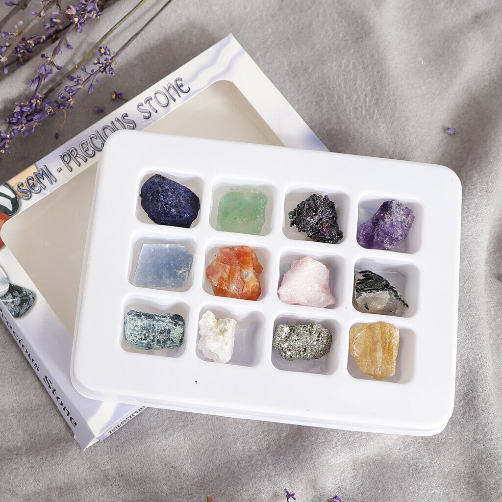 Rock and Mineral Earth Science School Teaching Display Collection Gift