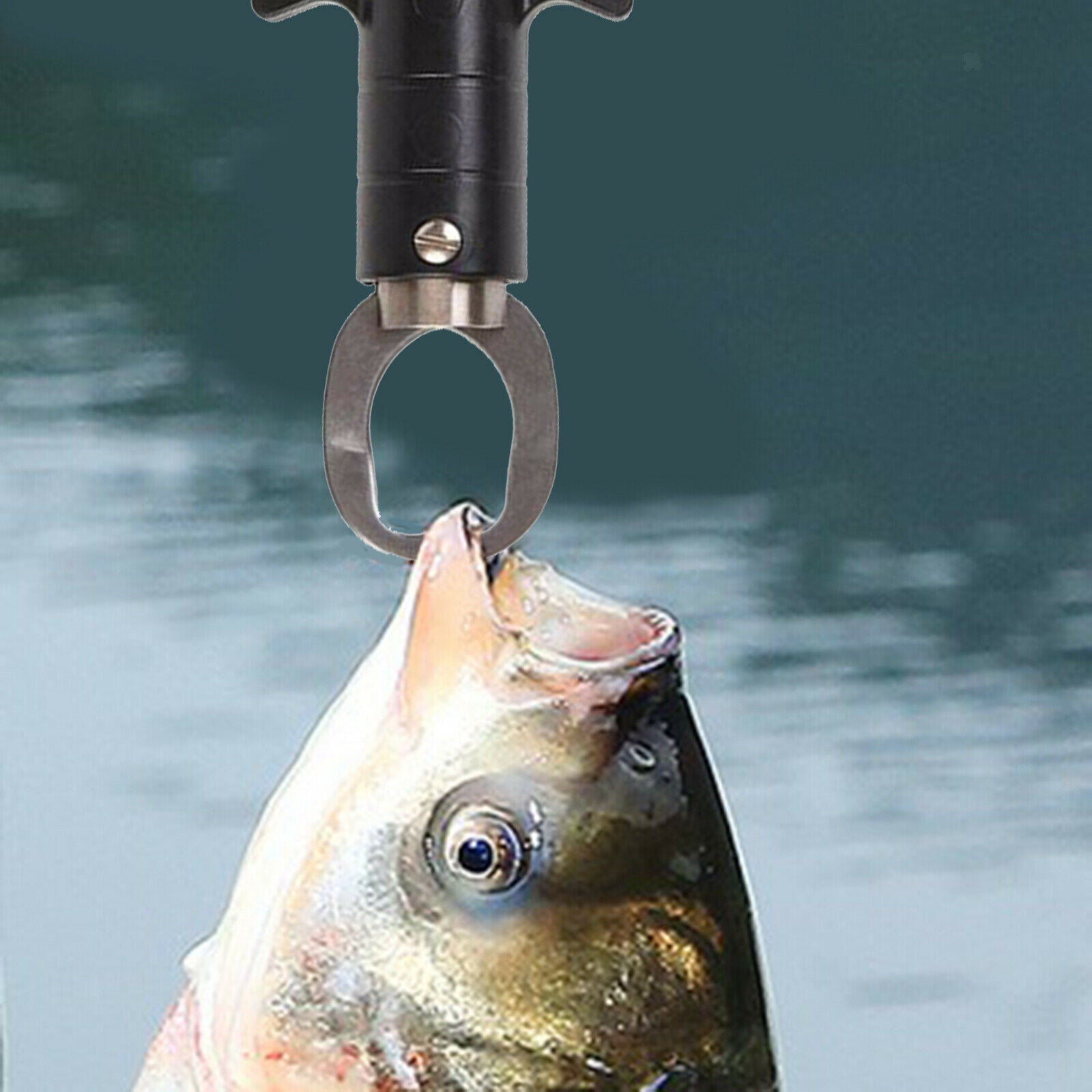 Fish Lip Gripper Grabber with Electronic Scale Measure Ruler Fish Grabber