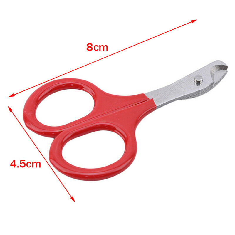 Cat Nails Scissors Pet Cat Claw Care Tools Pet Supplies Accessories Pet To JYDF
