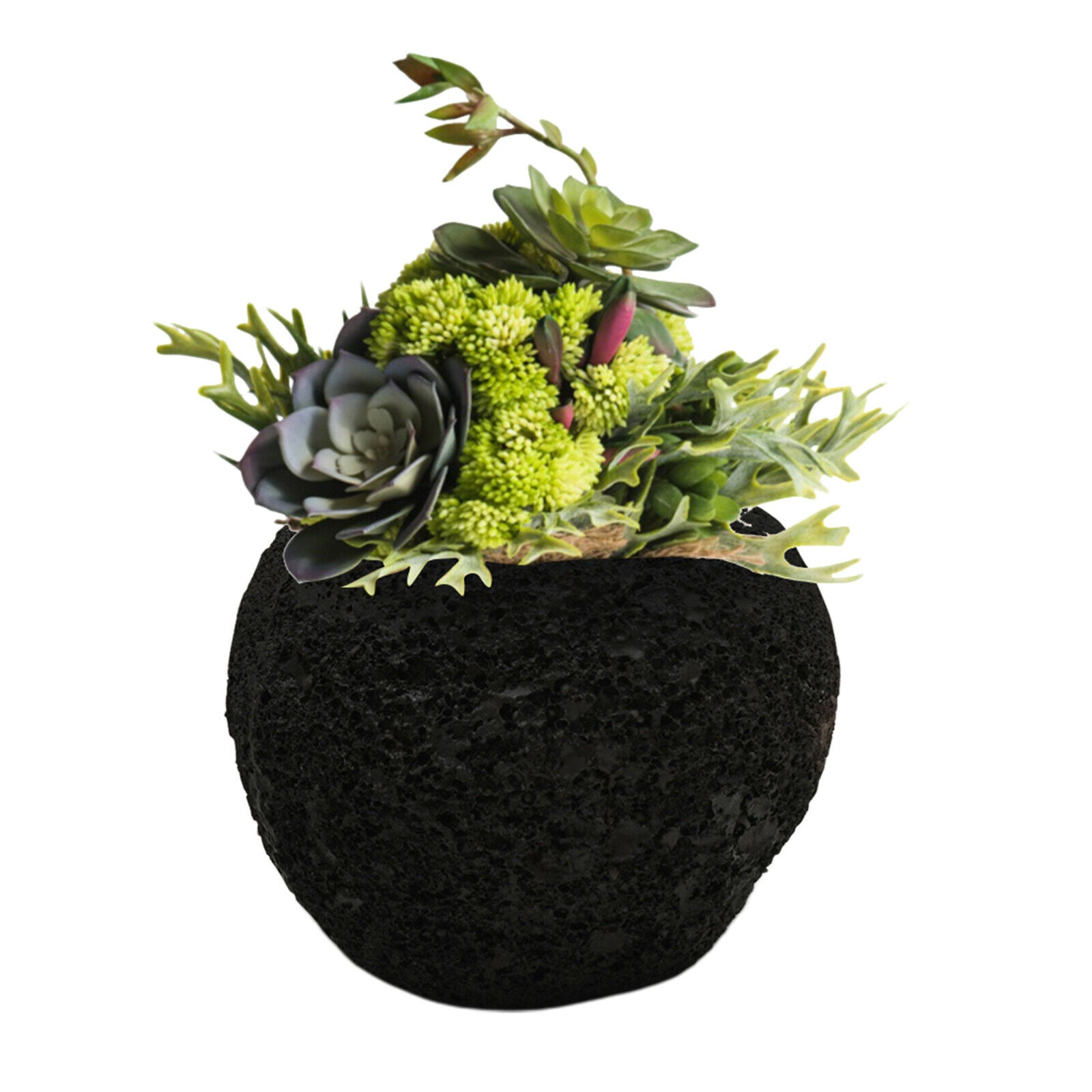 Flower Pot Succulent Planters Succulent Pots Office Home Garden