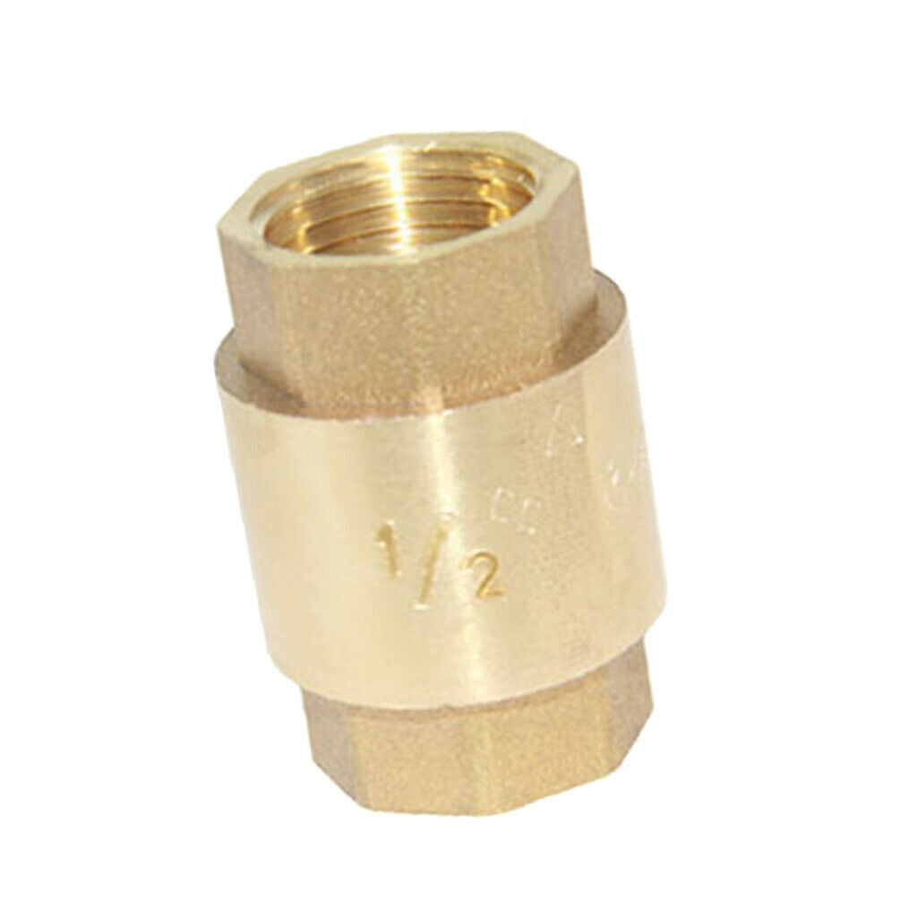 1/2 "Vertical Thread Check Valve Spring High Pressure Internal Valve