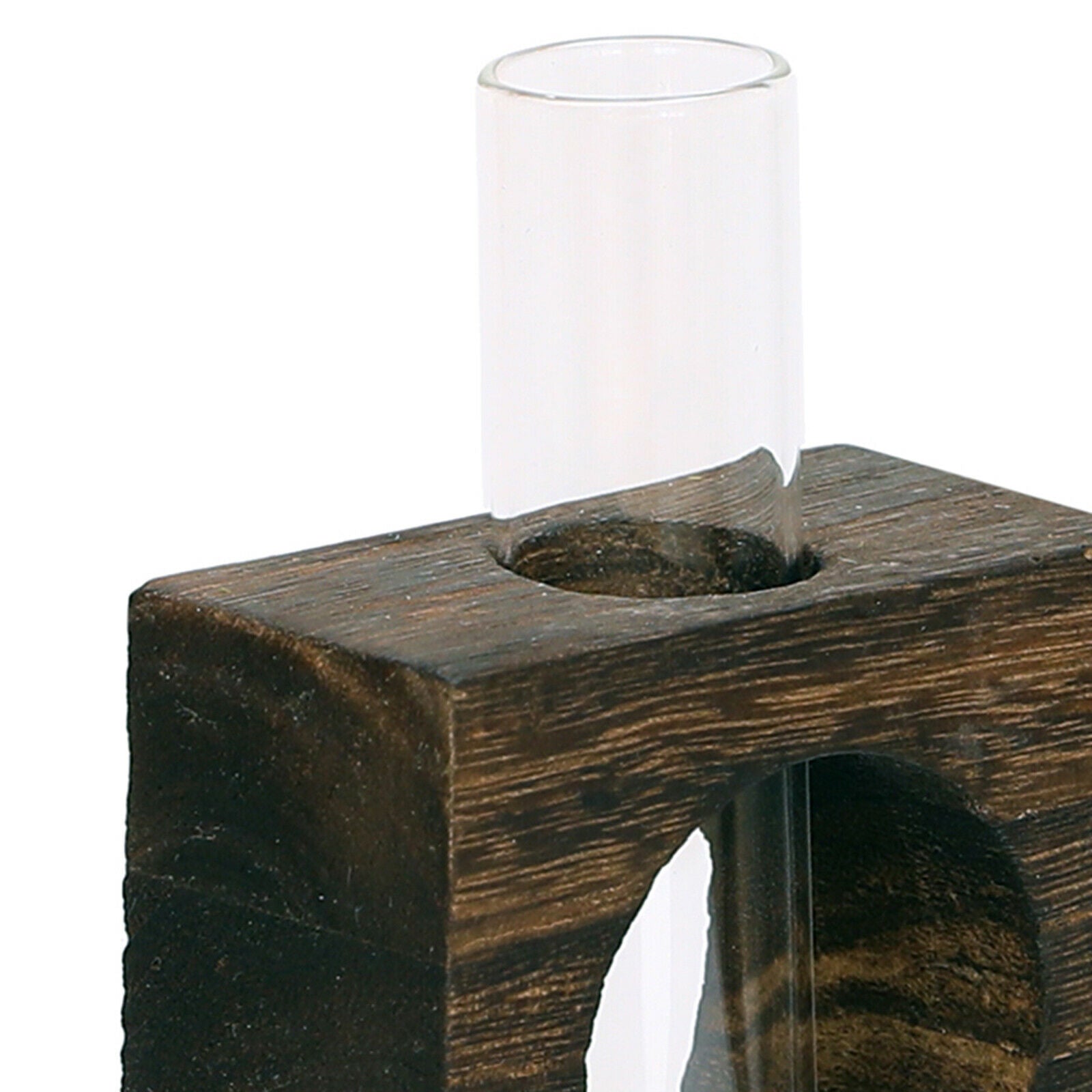 Single Test Tube Vase Watering Plants Planter in Wooden Stand Flowerpot