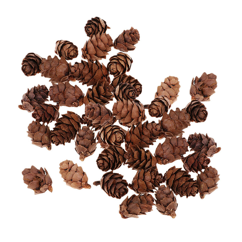 100x Decorative Pinecone Pine Cone Vase Bowl Filler Display Table Decoration