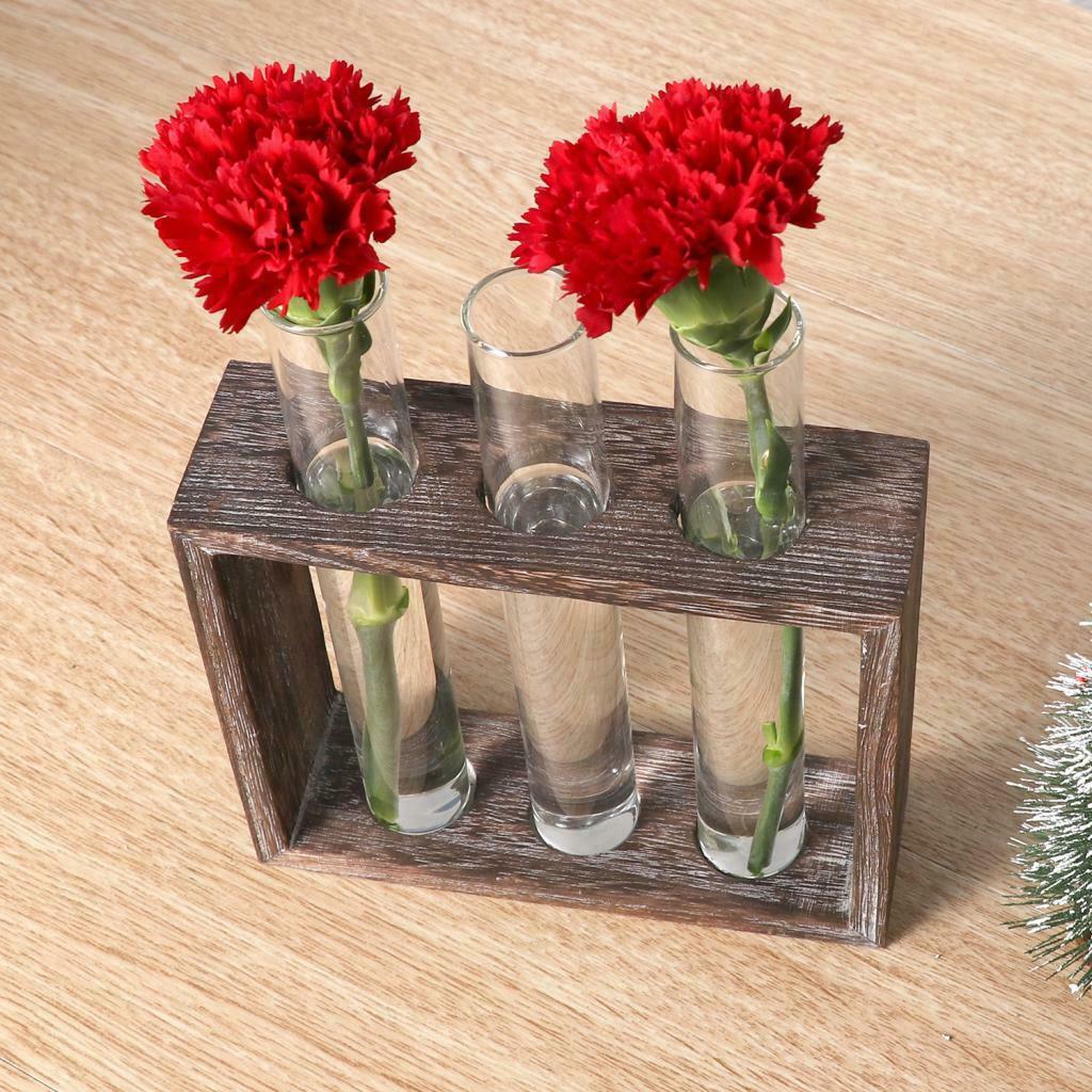 2pcs Glass Vase Test Tube in  Stand for Flowers Plants Home Decor 3 Tube