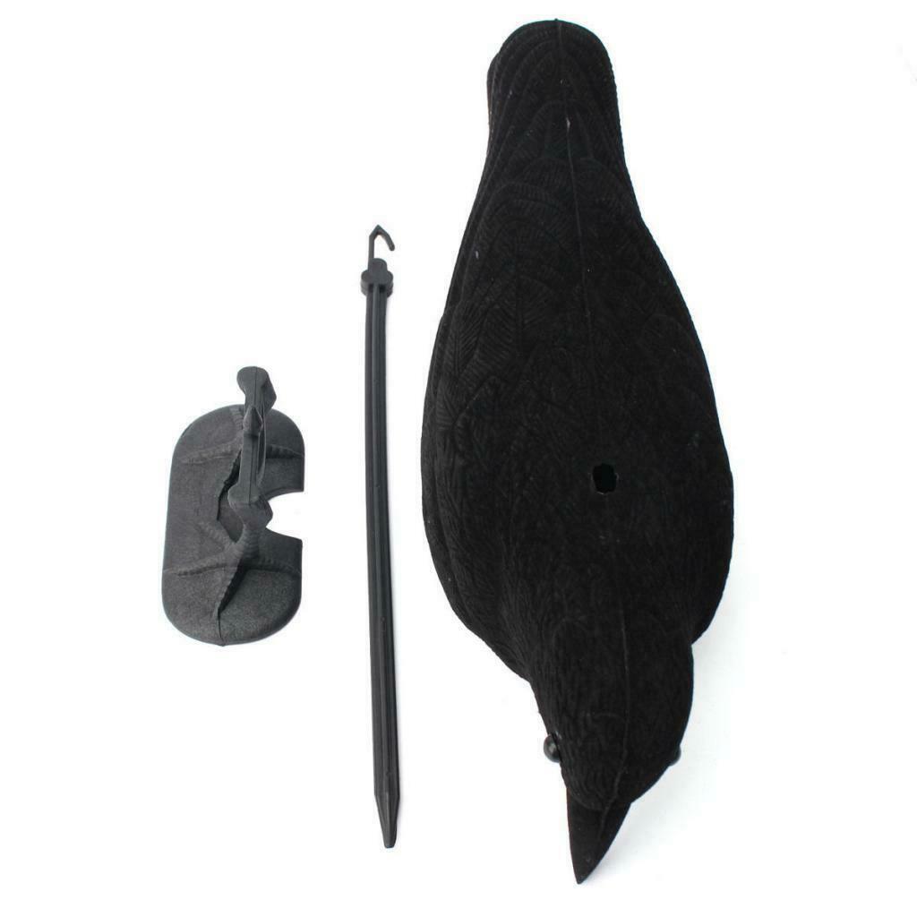 Garden Flocked Jet Black Crow Full Body Decoy for Hunting