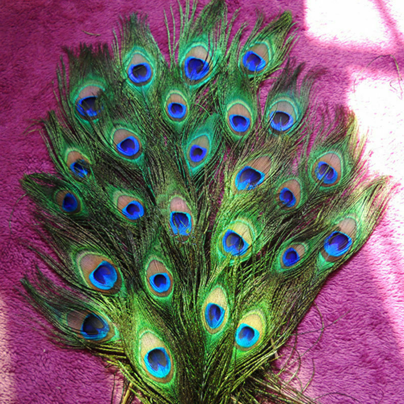10-12 inches Natural Peacock Feathers with Big Natural Eyes 10pcs