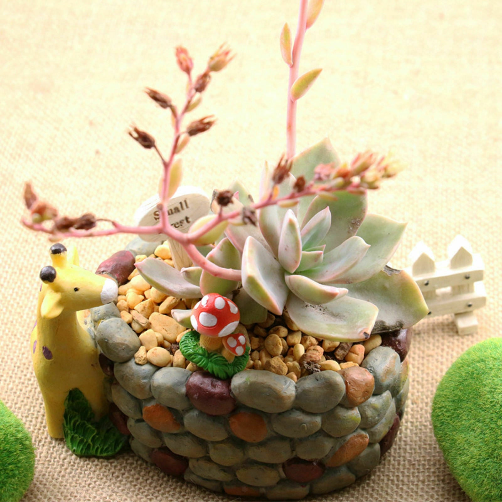 Succulent Plant Pot Creative Mini Animal Flowerpot for Home Home Decoration