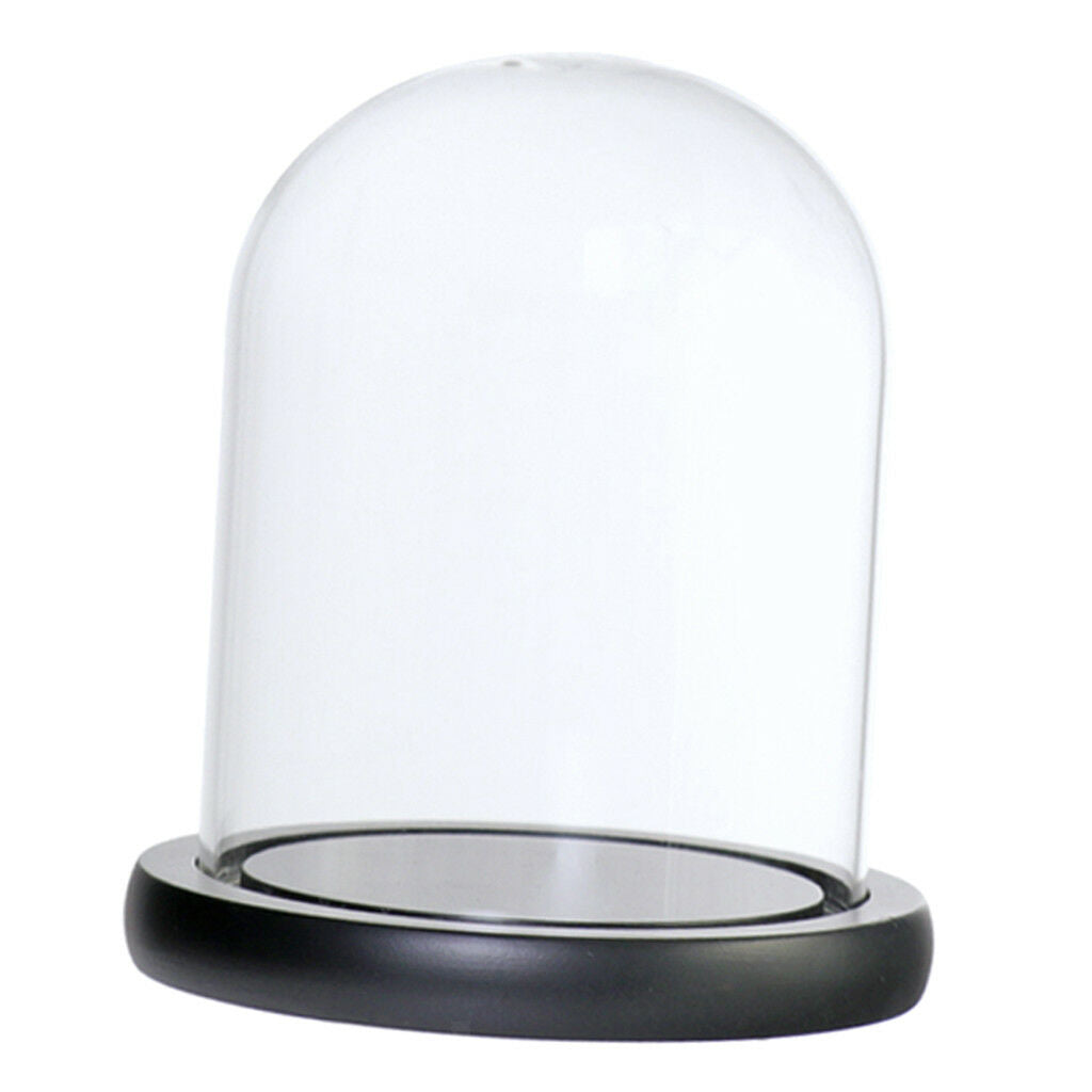 Glass Display Dome Cloche Bell Jar With Wooden Base for DIY Decor_Black C