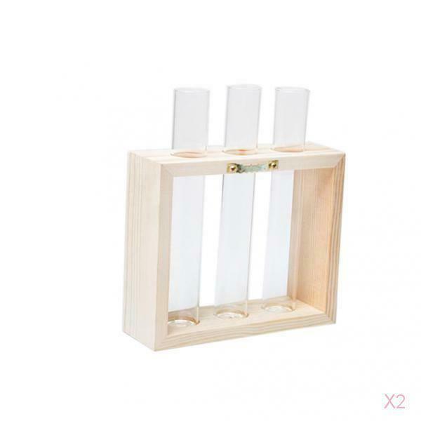 2Pcs Nordic Test Tube Glass Vase Hydroponic Vase Elegant Tabletop Vase For Water