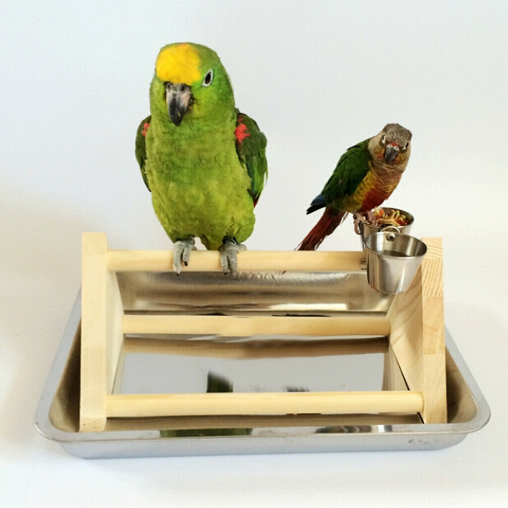 Wood Parrot Play Bird Standing Position Plays Cage For Grinding Pet