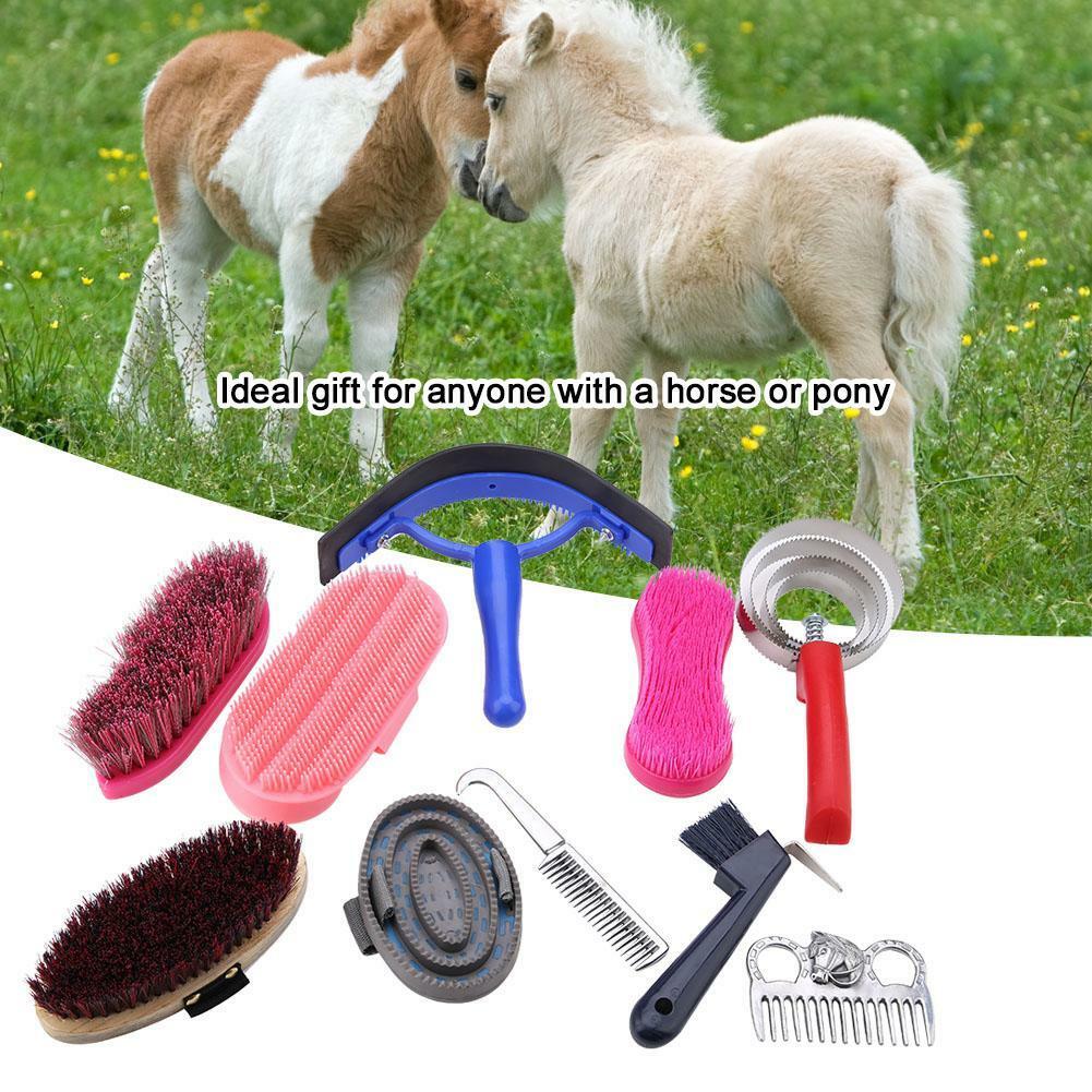 10pcs Horse Grooming Supplies Kit Brush Comb Horse Care Tool with Storage Bag