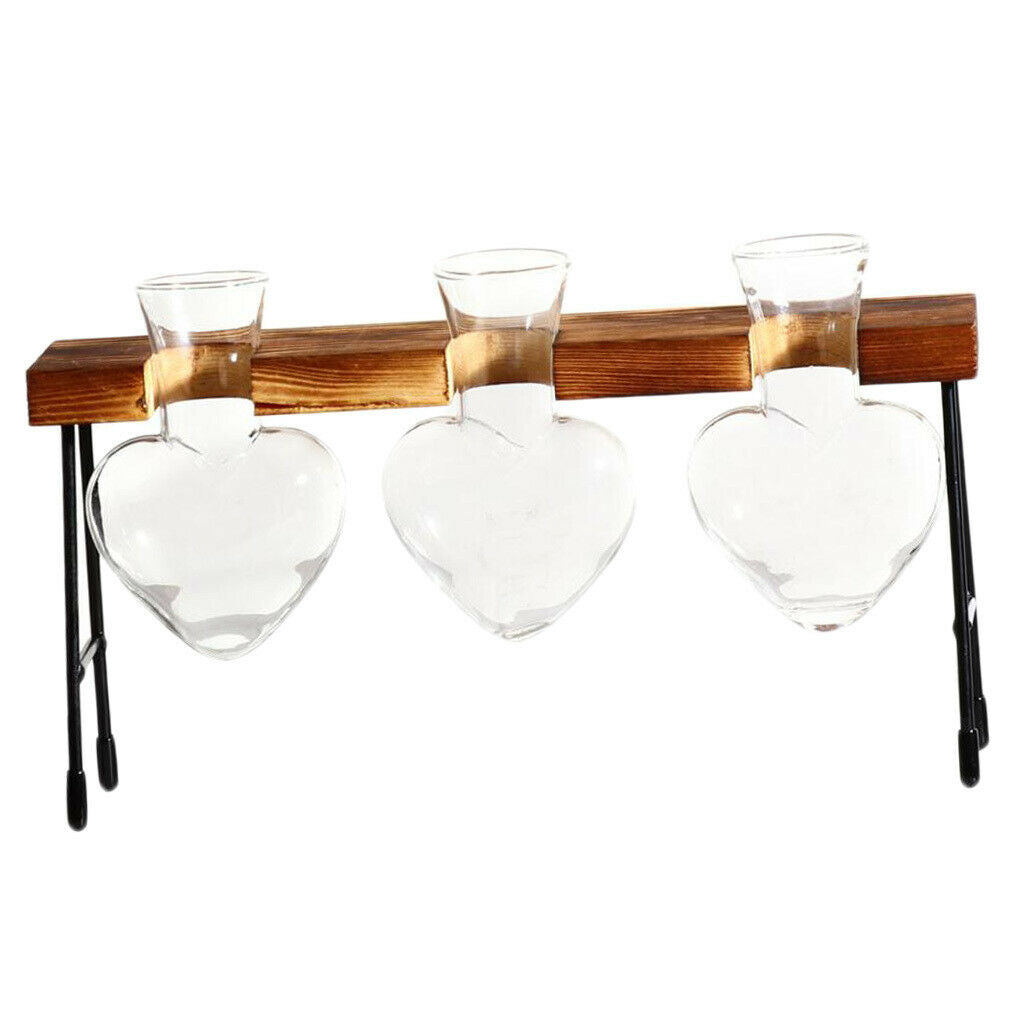 2pcs Test Tube Vase in Wooden Stand Desktop Glass Set Hydroponic Plants