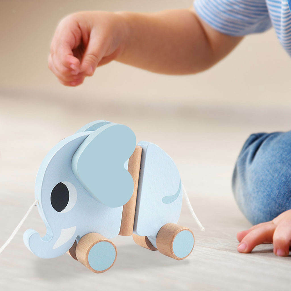 Baby Pull-Along Walker Cute Sensory Development for Classroom Child Birthday