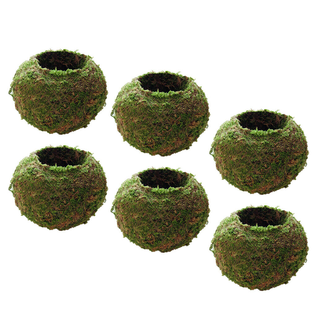 6 x Natural Moss Planting Ball Flower Pot Succulent Pot Garden Ornament 9cm