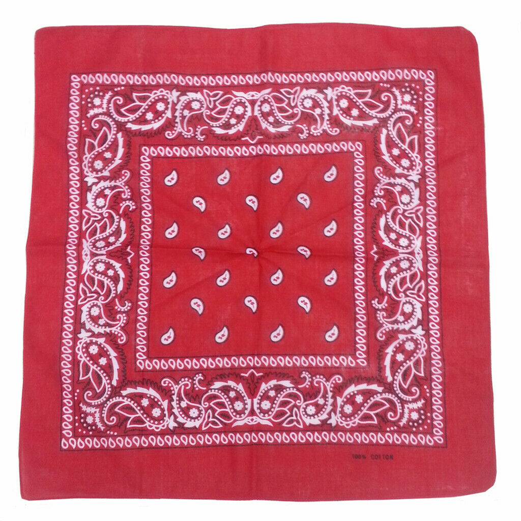 5 Pieces Cotton Double Sided Paisley Print Bandana Scarf Head Wrap Neck